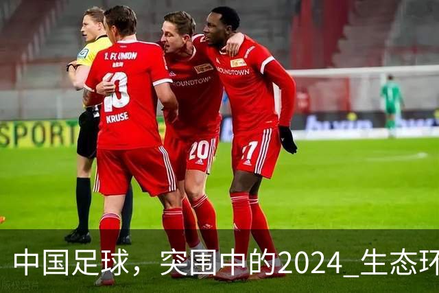 中国足球，突围中的2024 生态环境将实现好转