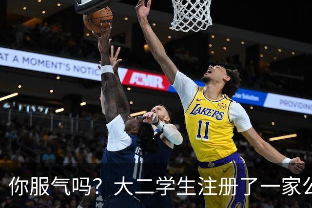 你服气吗？大二学生注册了一家公司，员工名单上只有他自己，而他一年营收达到了60万