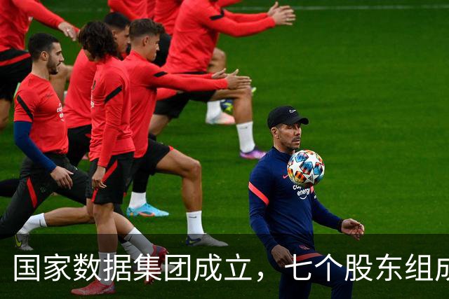 国家数据集团成立，七个股东组成天团