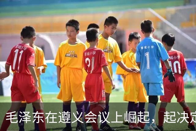 毛泽东在遵义会议上崛起，起决定作用的人是谁？